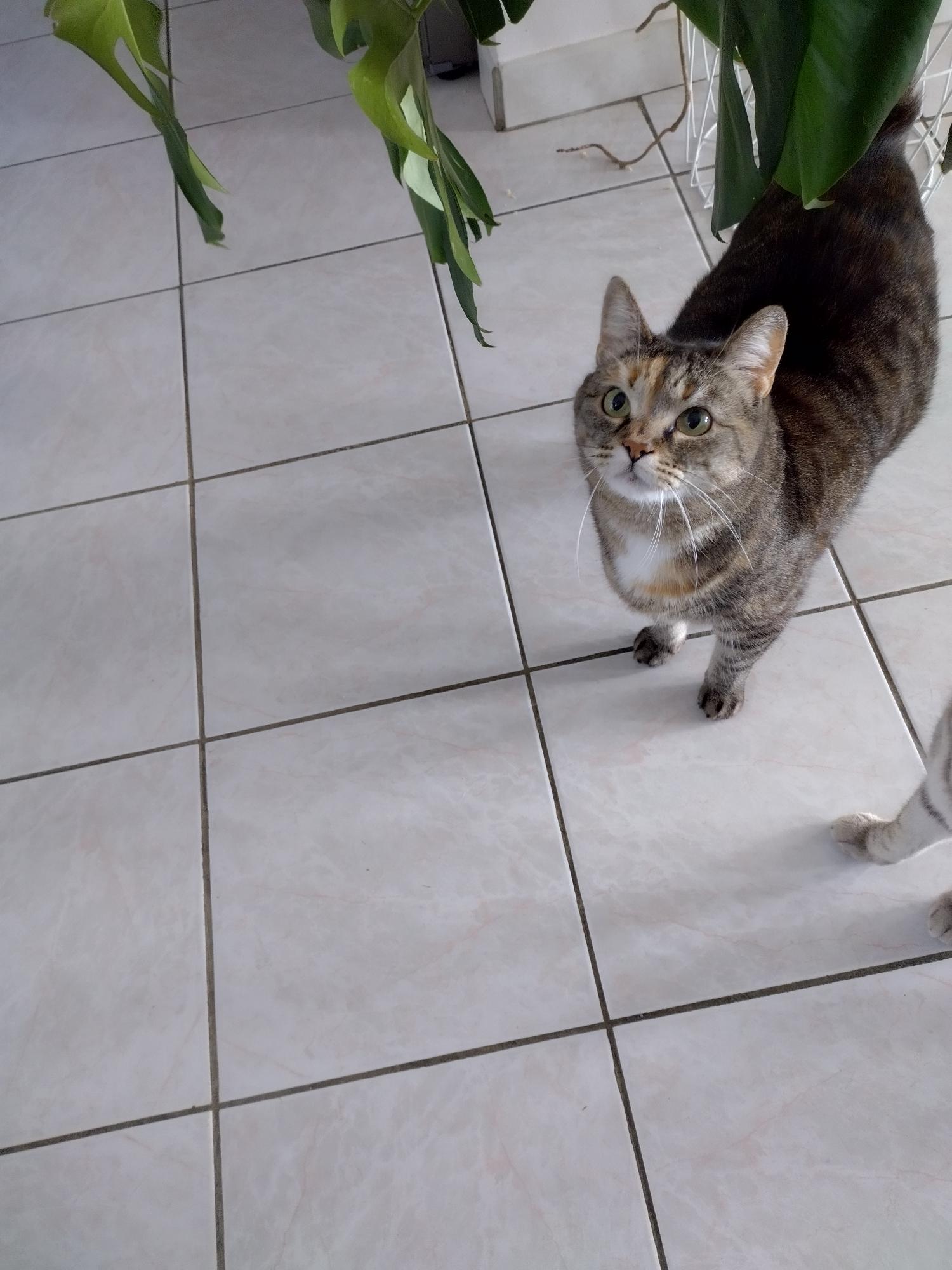 Mia, entre câlins et petites gourmandises