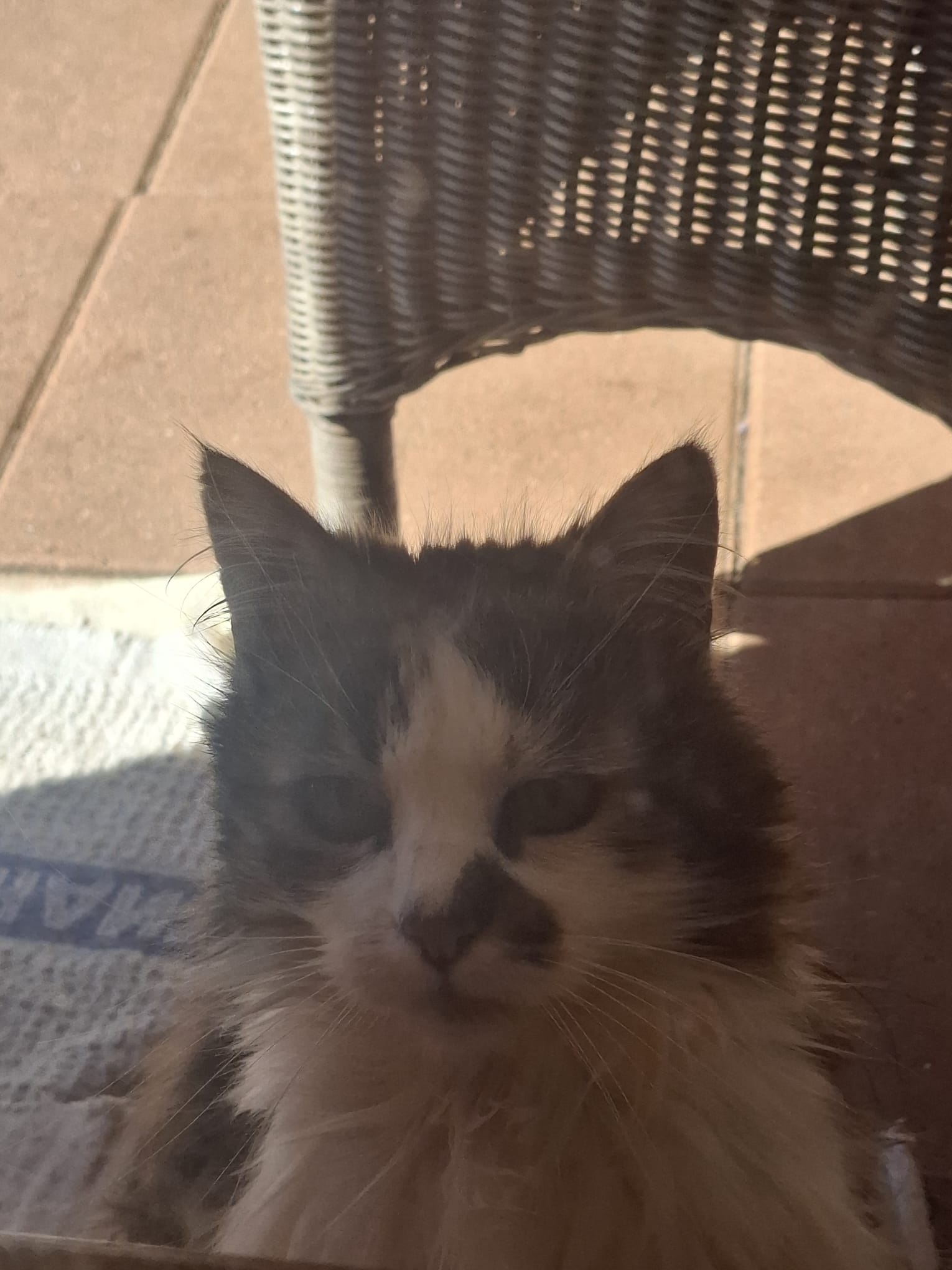 Quand la curiosité l'emporte sur la timidité : Mirabelle